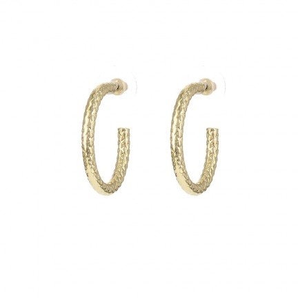 Oorhangers Rond Goud